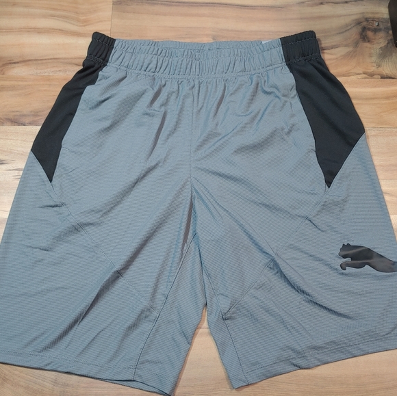 puma dry cell shorts